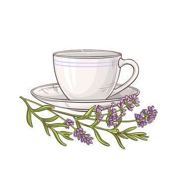 lavender tea illustration