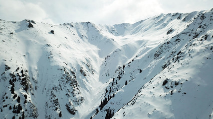 Snowy mountains of Kazakhstan. Opens the view of the gorge, ate growing on the hills and the top of the mountain. The white cover closed the sky.