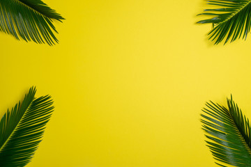 Fototapeta na wymiar Flat lay palm leaves on yellow background