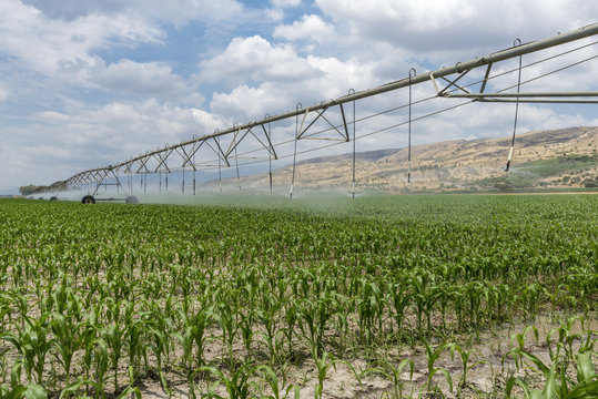 Lateral move irrigation system