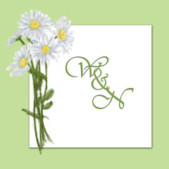 Daisy Bouquet Card on Green Background. Floral Arrangement with Text Copy Space on White.
