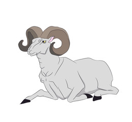 mountain ram lying, vector.