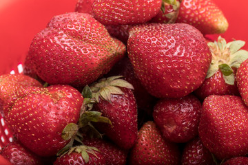 washed fresh ripe strawberries in a red plastic strainer