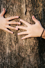 Hand woman hug tree love forests and trees.