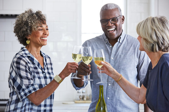 Senior friends toasting wine glasses in the kitchen