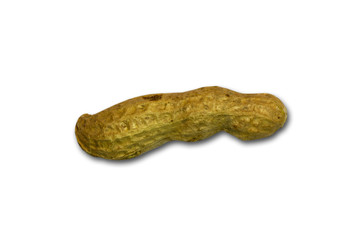 Dried peanut in closeup