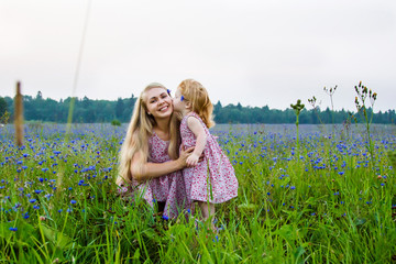 caucasian redhead daughter kiss blonde mother. blue flowers fields outdoor