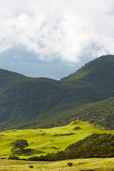 plaine des cafres, reunion island, 