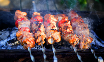 Meat And Vegetable Kebabs On The Hot BBQ Grill. Flaming Charcoal In The Background. Snack For Outdoor Summer Barbeque Party.