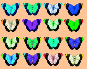 Large collection of colorful butterflies on beige background