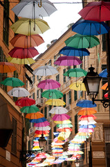 Fototapeta na wymiar Genoa, old town: colored umbrellas hanging in one of its alleys (event: Euroflora 2018)