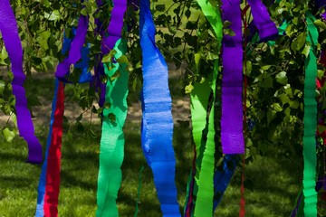 A traditional Maypole - young birch decorated with colorful stripes of crepe paper.Colorful paper...