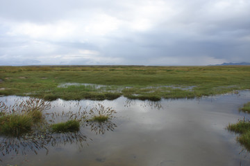 alpine marshes in Tian Shan (Kyrgyzstan)