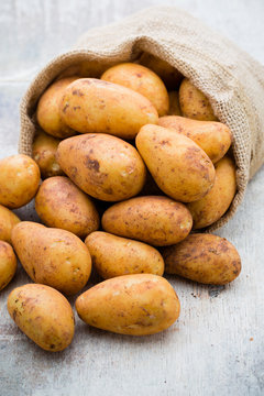 A bio russet potato wooden vintage background.