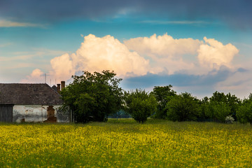 Summer evening landscape with field and dramatic clouds