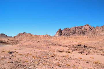 Fototapeta na wymiar desert landscape, mountains of red sandstone, a plain covered with rare desert vegetation, a stretch of road with telegraph poles against the background of a cloudless blue sky