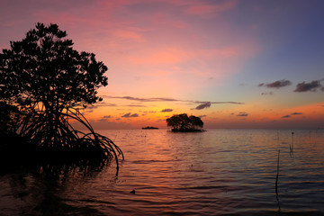 Libaran Island - Sabah, Borneo