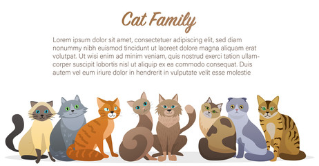 Cute cartoon cats family staing together front view. Cat pet friend.