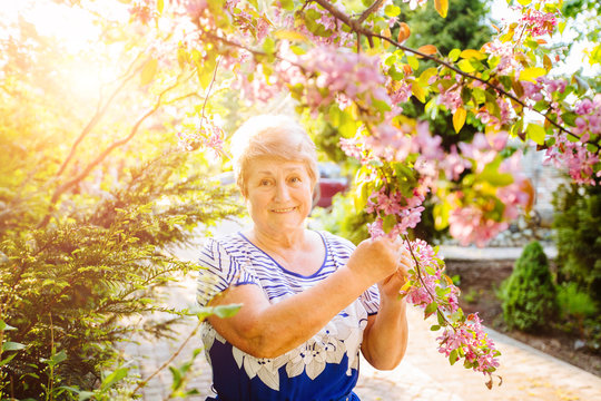 Portrait Of Happy Blond Older Woman Standing Under Pink Blooming Tree In The Garden Outside In Summer.