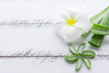  aloe vera on wooden table