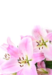 Foto op Canvas Flower lily © valeriy555