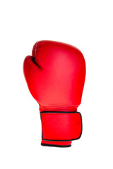 isolated single boxing glove on white background