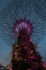 Gardens by the bay, Singapore