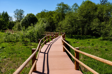 Obraz premium wooden boardwalk in green meadow area
