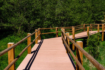 wooden boardwalk in green meadow area