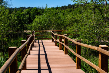 Obraz premium wooden boardwalk in green meadow area