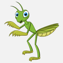 Cute cartoon mantis on white background