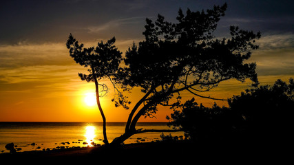 dramatic sunset over the calm sea shore with rocks