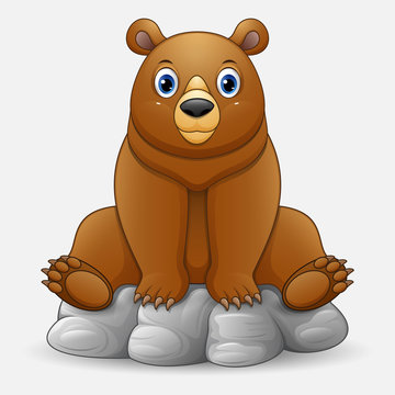 Cute baby bear cartoon sitting on rock