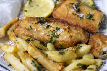 Fish and ships