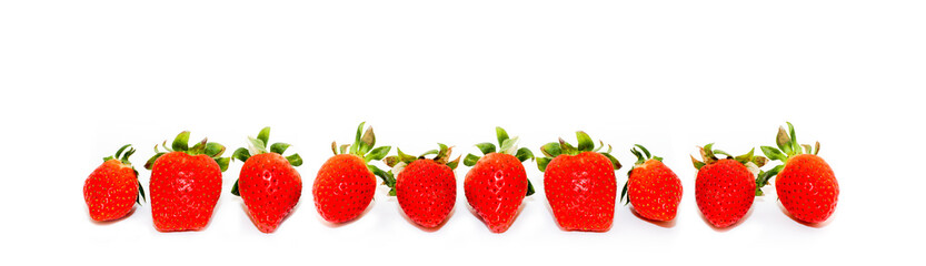Ten fresh and natural red strawberries of different shapes with green leaves, aligned side by side, isolated on a seamless wide panorama frame format white background.