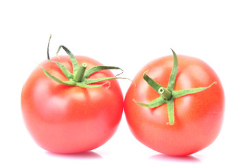 Fresh tomato