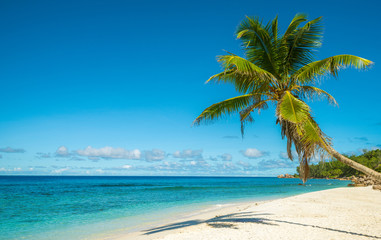 Obraz na płótnie Canvas Tropical island beach. Perfect vacation background.