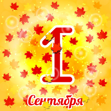 1 September. Knowledge Day in Russia. Concept of a holiday. Text in Russian - September 1. Maple leaves, Gold background. Bright design for posters and banners