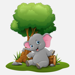 Cute baby elephant sitting under tree 
