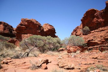 Fototapeta premium trees and sandstone formations at kings canyon, watarrka national park