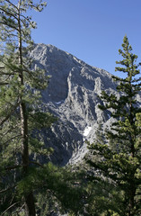 The peaks of mountains with white snow and pines on foreground on the sunny day on Crete island. 