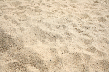 Texture sand background