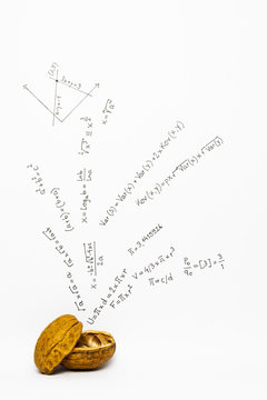Concept of the phrase mathematics in a nutshell. Mathematical formulas drawn on white paper with walnuts