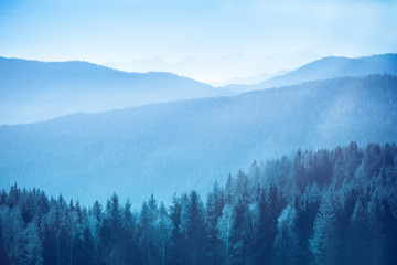 Mountain landscape with spruce and pine trees in the Austrian Alps during a calm bright sunny day with visible light rays and flair.  Blue color toned for retro and chill peaceful atmosphere.