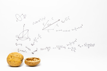 Concept of the phrase physics in a nutshell. Physics formulas drawn on white paper with walnuts