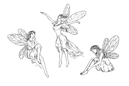 Beautiful three young fairies dancing, flying in wind and sitting around, hand drawn outline doodle sketch, black and white vector illustration