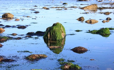 Meer