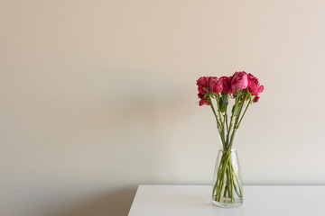 Variegated red roses in glass vase on white shelf against neutral wall background