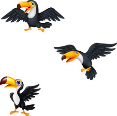 Cartoon toucan collection set © tigatelu