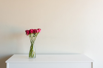 Close up of variegated red roses in glass vase on white sideboard against neutral wall background